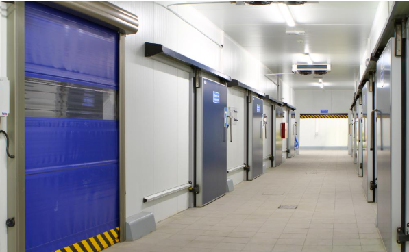 Captura de ecrã 2025-01-30 194934